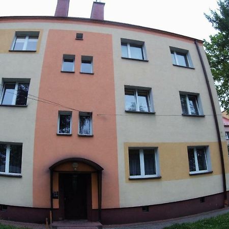 Studio Skarzyko Kamienna Apartment Skarżysko-Kamienna Exterior foto